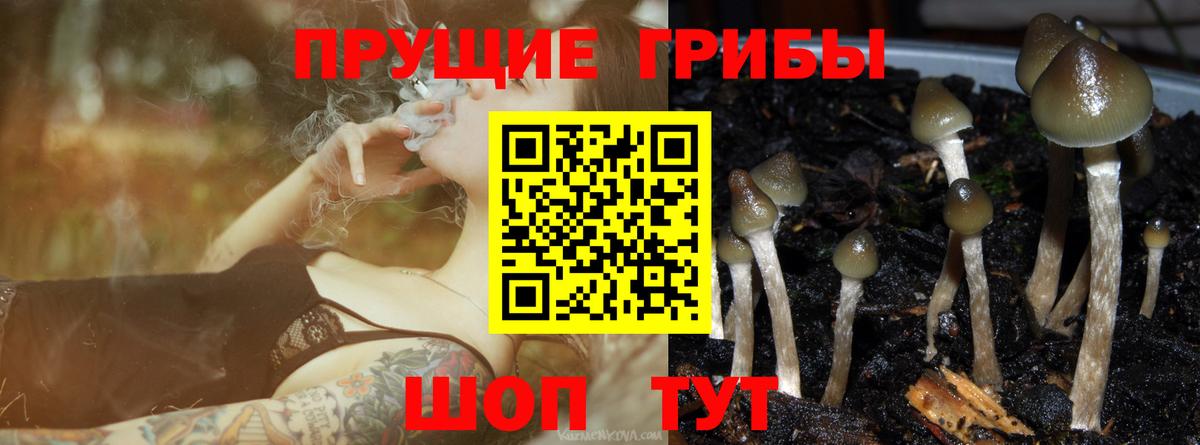 Галлюциногенные грибы Cubensis Янаул